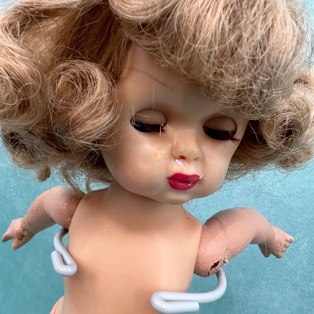 Tiny Terri Lee